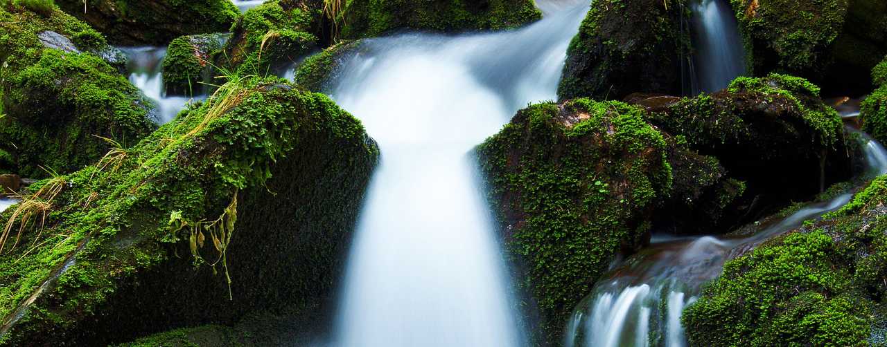 あなたの心、少し疲れていませんか？