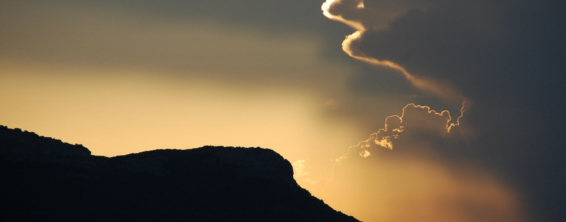 Color Within -Couseling Salon-